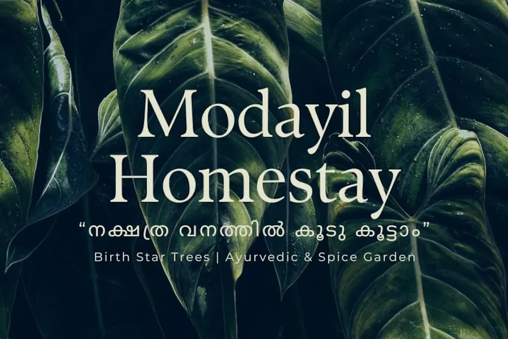 Modayil House - Anakkara Vandanmedu Holiday home